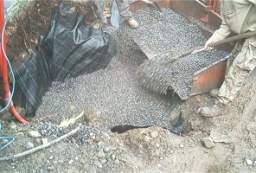 coolross 1505.JPG